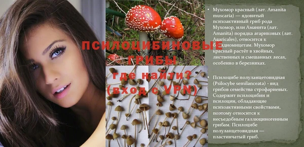 2c-b Зеленокумск