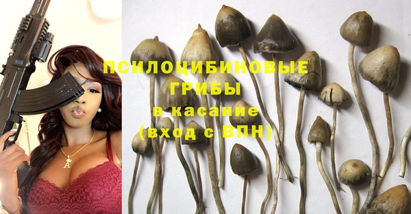 дурь Зерноград