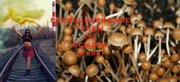 прущий лед Зеленодольск